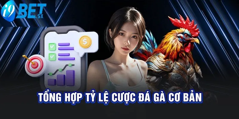 Đá Gà i9bet 4 Tỷ lệ cược đá gà i9bet cơ bản