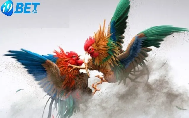 Đá Gà Thomo i9bet 2025: Cá Cược Đá Gà Đỉnh Cao 4 Cách phân định thắng thua Đá Gà Thomo i9bet