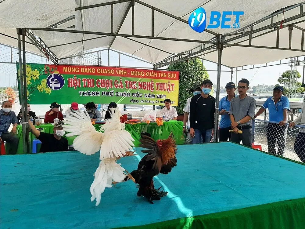 Đá Gà Tre i9bet Cá Cược Đá Gà Uy Tín Hàng Đầu 4 Giá trị kinh tế và văn hóa của Đá Gà Tre i9bet